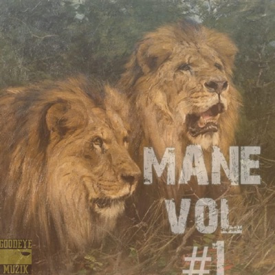 Mane, Vol. 1 - Single