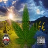 Tree of Life (feat. I-Land Boi Zed & Samurai Si) - Single