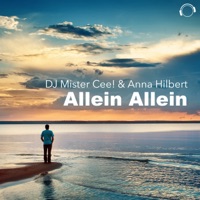DJ Mister Cee & Anna Hilbert - Allein allein (Jay Frog Remix Edit)