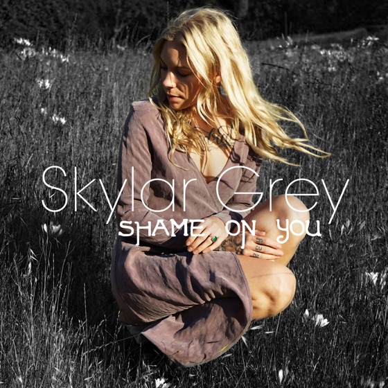 Cover artwork for Shame on You