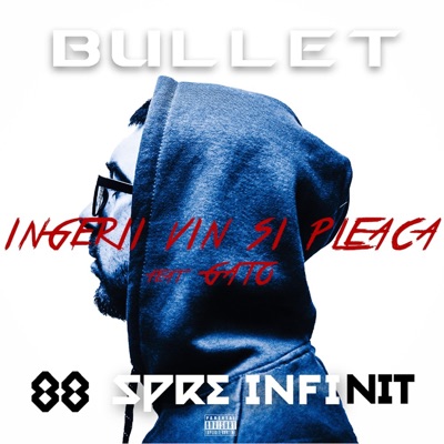 Ingerii Vin Si Pleaca (feat. Gato) - Single