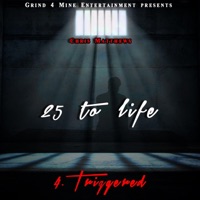 Triggered - Single - Chris Matthews