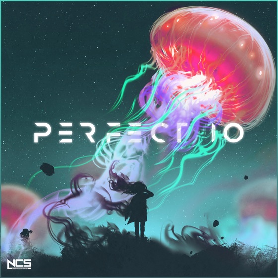 Cover artwork for Perfect 10 (Unknown Brain & RudeLies VIP)