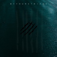 By Your Stripes - Single - MARV