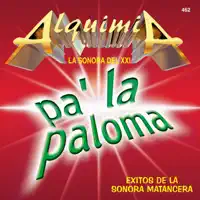 Cualquiera Resbala Y Cae — Alquimia La Sonora Del XXI
