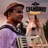 Chambinho do Acordeon - Paixão de Boiadeiro