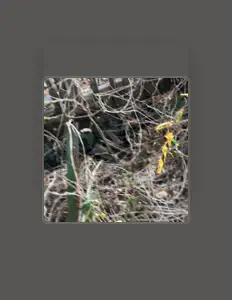 Listen to Goonncity, watch music videos, read bio, see tour dates & more!