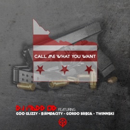 Call Me What You Want (feat. Goo Glizzy, E4rmdacity, Gordo Brega & Twinnski) DJ Madd Od