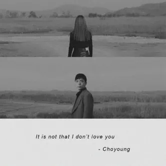 It is not that I don't love you by Choyoung song reviws