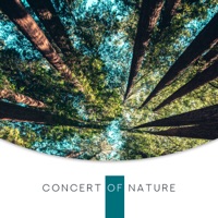 Concert of Nature: Music Soothing the Body, Mind and Soul - Relaxing Nature  Sounds Collection, Oasis of Relaxation Meditation & Calming Water Consort -  Music - China Newest and Hottest Music