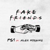 PS1 & HOSKING Alex - Fake Friends