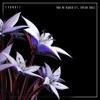 Take Me Higher - Single