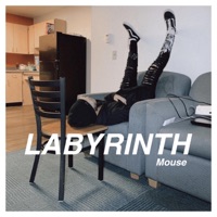 Labyrinth - Single - Mouse