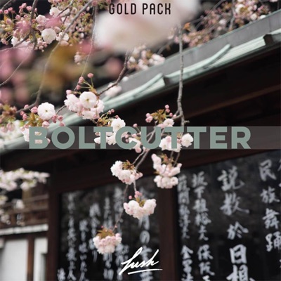 Gold Pack - Single