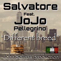 Different breed (feat. JoJo Pellegrino & John Solinas) - Single - Salvatore