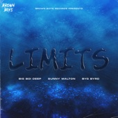 Limits (feat. Sunny Malton & Byg Byrd) artwork