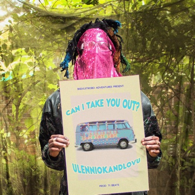 Can I Take You Out - Single