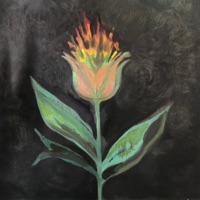 På den sidste dag - Single - Vil