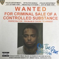 On the Run - Single - Billz Raw