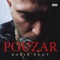 Pouzar artwork