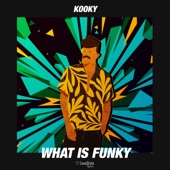 What is Funky (Extended Mix) artwork