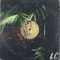 Maltempo. (feat. Pelvo) - Lakeside Collective & pelvo lyrics