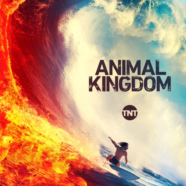 Animal Kingdom Season 4 (Television Season)