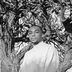 Listen to David Gresavo, watch music videos, read bio, see tour dates & more!