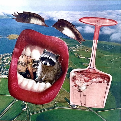dropped my iPod (covers)