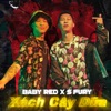 Xách Cây Dũa (feat. S-Fury) - Single