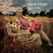 Beauty & Ruin - David Starr