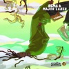 Dumebi (Major Lazer Remix) - Single