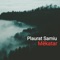 Mëkatar (feat. Veton Samiu) - Plaurat Samiu lyrics