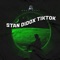 Stan Didox Tiktok (Remix) artwork