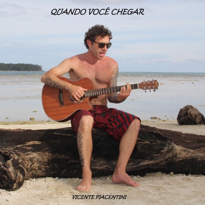 Quando Você Chegar (Remix) - Single