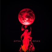 Aptal Insan - EP artwork