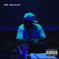 Mr. Beleaf - Mr. Beleaf