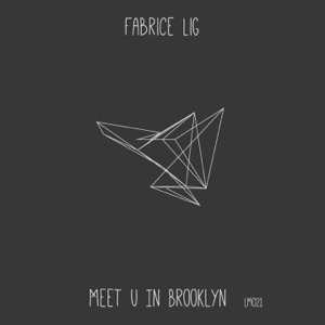 Meet U in Brooklyn - Single