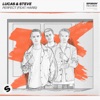 Perfect (feat. Haris) by Lucas & Steve iTunes Track 2