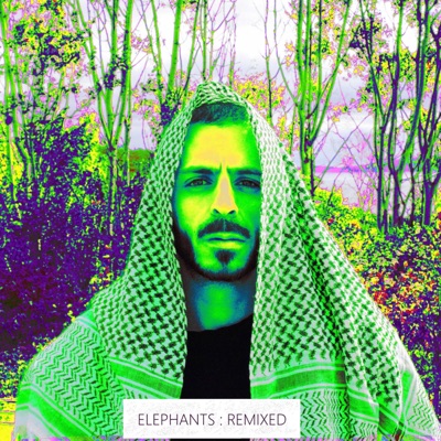 Elephants : Remixed