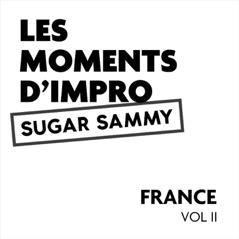 Les moments d'impro France, Vol. 2