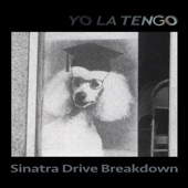 Yo La Tengo - Sinatra Drive Breakdown (Edit)