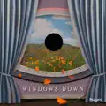  - Windows Down