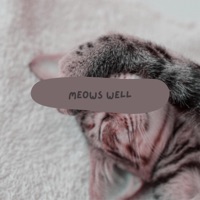 Meows Well - Single - Iris Spina