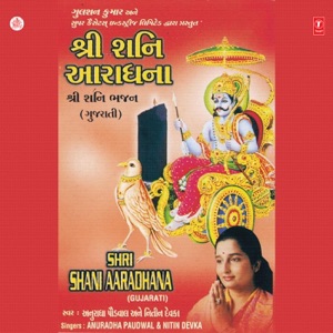 Shri Shanidev Aaradhana