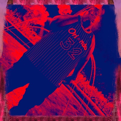 Birds. - Single