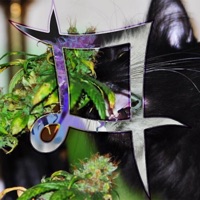 Herbalist - Single - $igil