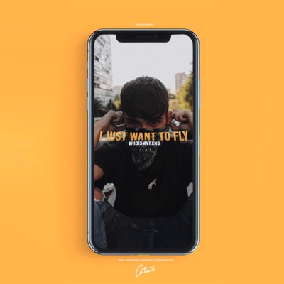 I Just Want to Fly - Single