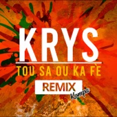 Tou Sa Ou Ka Fè (Kompa Remix) artwork