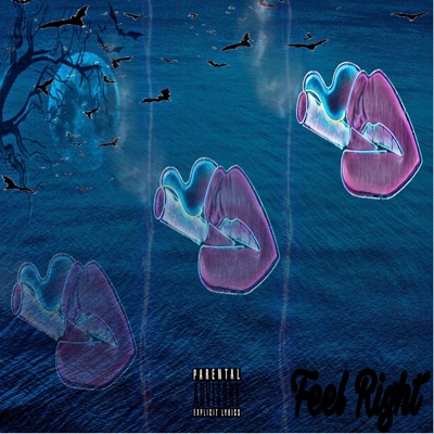 Feel Right (feat. DaPrie) - Single